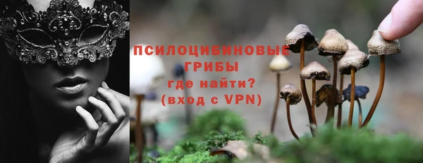 спиды Володарск