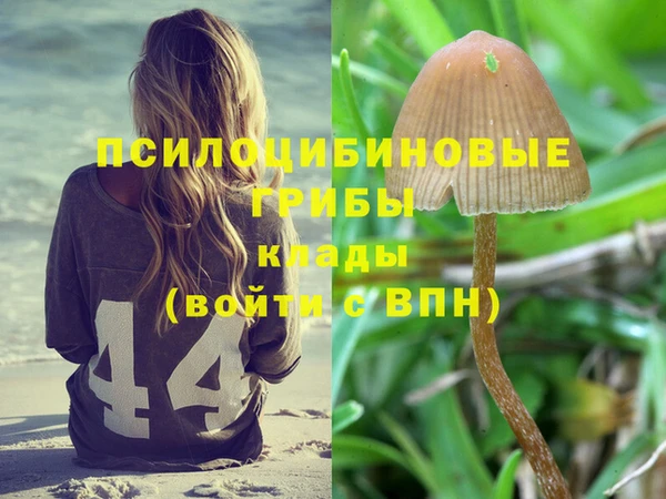 спиды Володарск