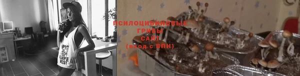 спиды Володарск