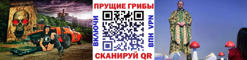 Псилоцибиновые грибы Psilocybe  Купить  Рубцовск 